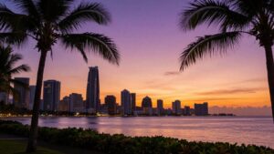 Gold Coast skyline at sunset with palm trees and ocean.